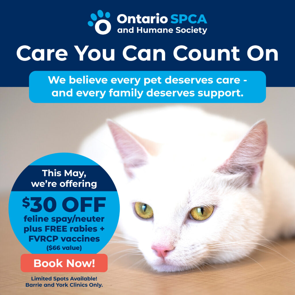 Ontario SPCA and Humane Society promotional graphic featuring a white cat and an offer for discounted feline spay/neuter services with free vaccines