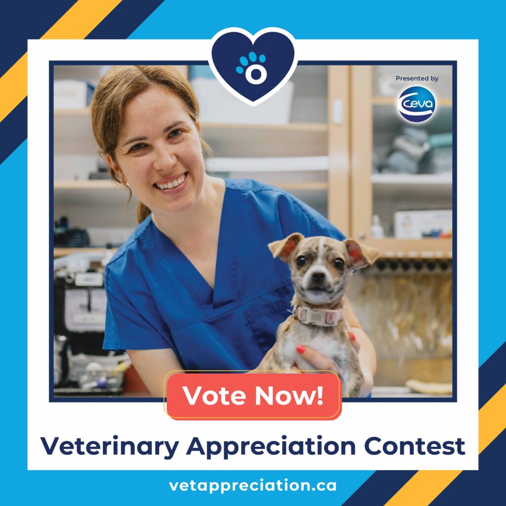 Promotional graphic for a Veterinary Appreciation Contest featuring a veterinary professional in blue scrubs holding a small puppy. The design includes contest branding, a “Vote Now!” call-to-action, and sponsor recognition.