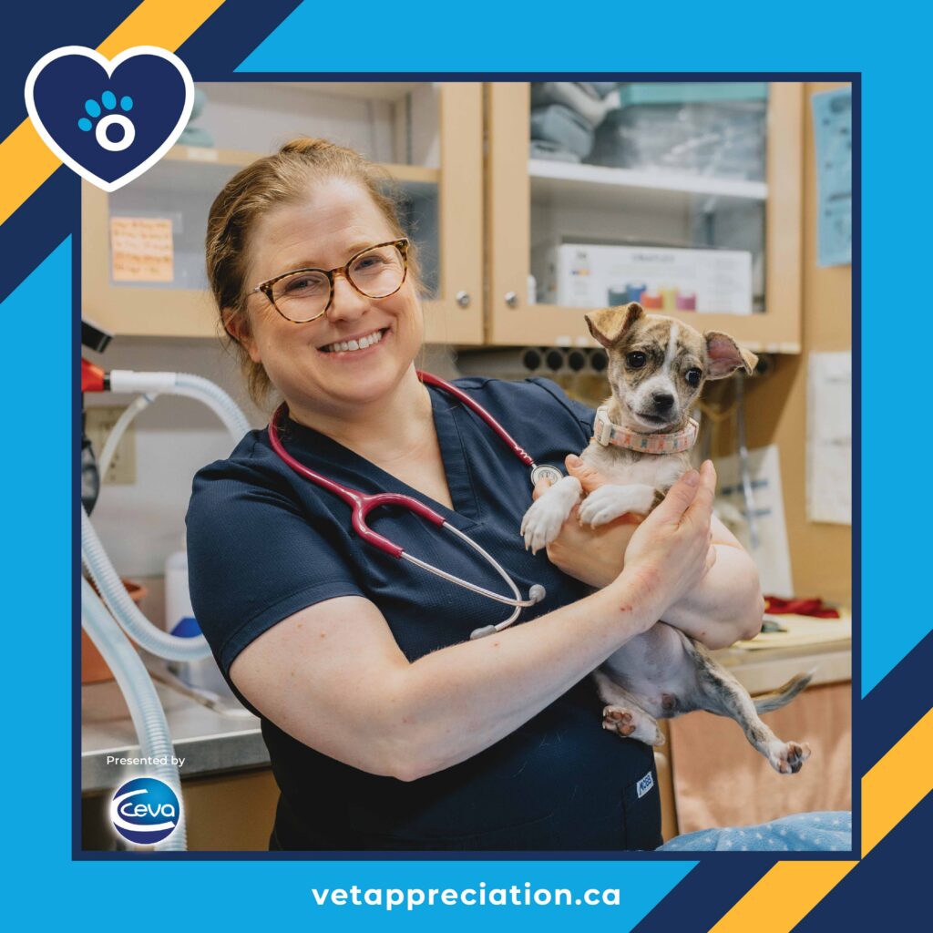 Promotional graphic for a Veterinary Appreciation Contest featuring a veterinary professional holding a small puppy in a clinic setting. The design includes contest branding, sponsor recognition, and the website address for voting information.
