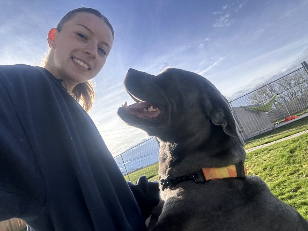 A person smiles for a selfie while sitting beside a large gray dog in a sunny, fenced outdoor area.