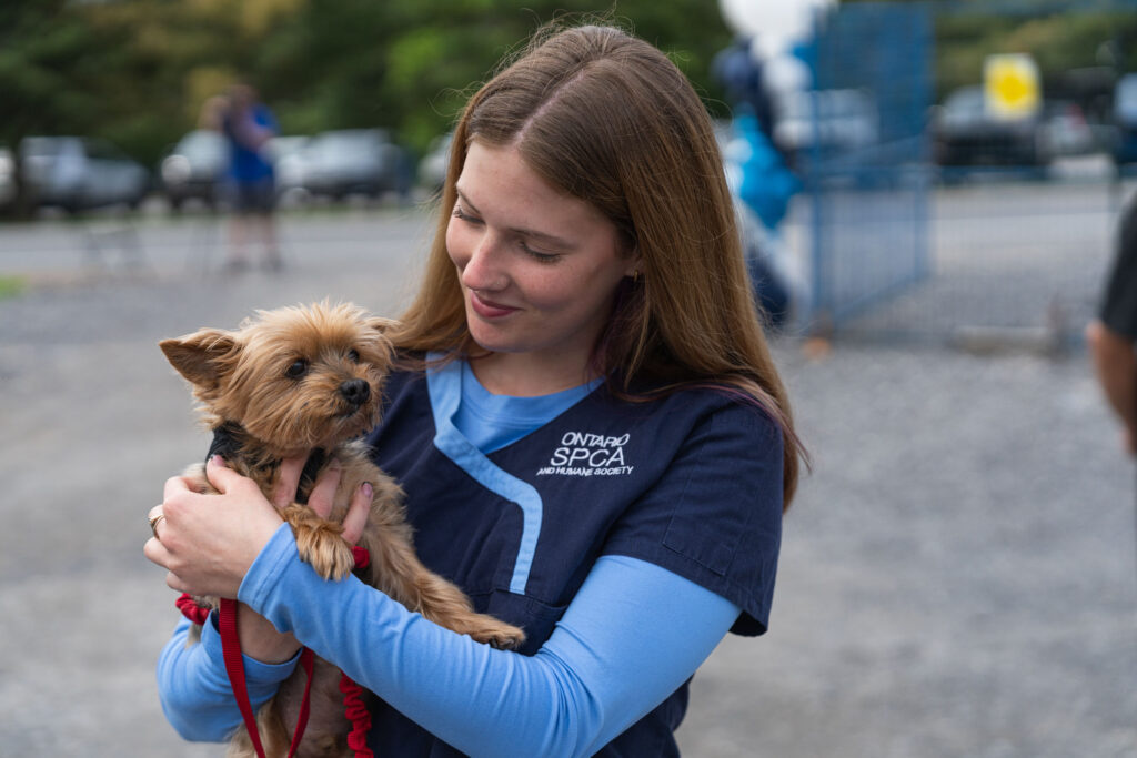 A young woman in navy-and-blue veterinary scrubs holds a small tan dog on a red leash outdoors.
