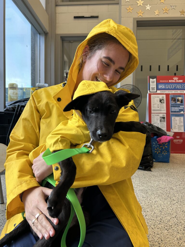 A girl in a bright yellow raincoat cuddles a black puppy wearing a matching yellow raincoat inside an animal shelter.