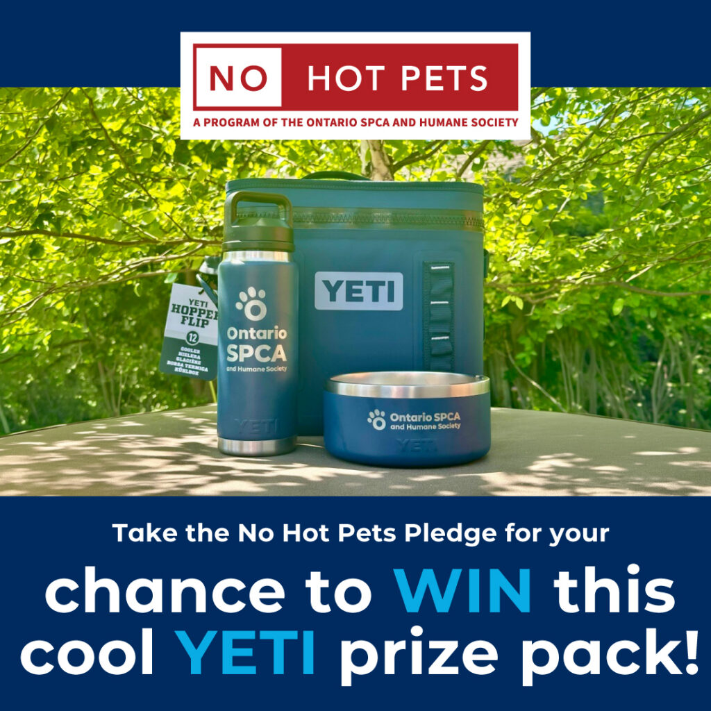 A promotional graphic for the No Hot Pets program featuring a YETI prize pack containing a cooler, a water bottle, and a pet bowl, all branded with the Ontario SPCA and Humane Society logo.