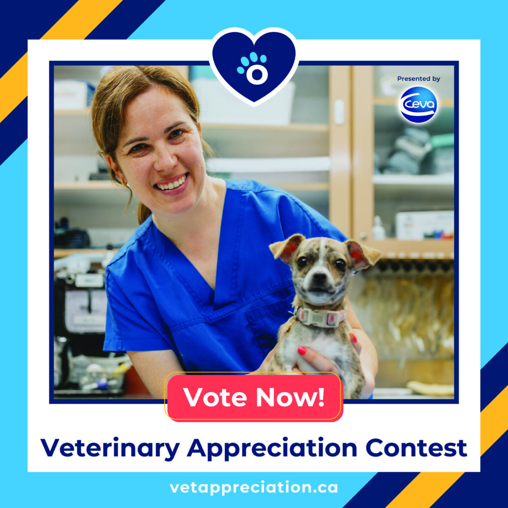A smiling veterinarian in blue scrubs holds a small, scruffy puppy in a clinic setting. Above them is a heart-shaped icon with a paw print, and the image includes the text "Vote Now!", "Veterinary Appreciation Contest," "Presented by Ceva," and "vetappreciation.ca."
