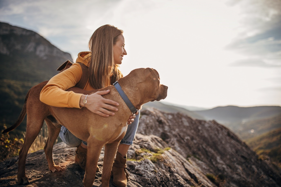 **30.** Person sitting with their dog on a rocky mountain overlook, enjoying a scenic view during an outdoor hike.