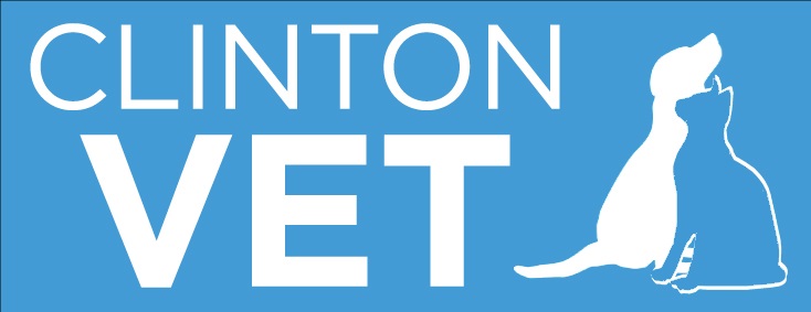clinton vet