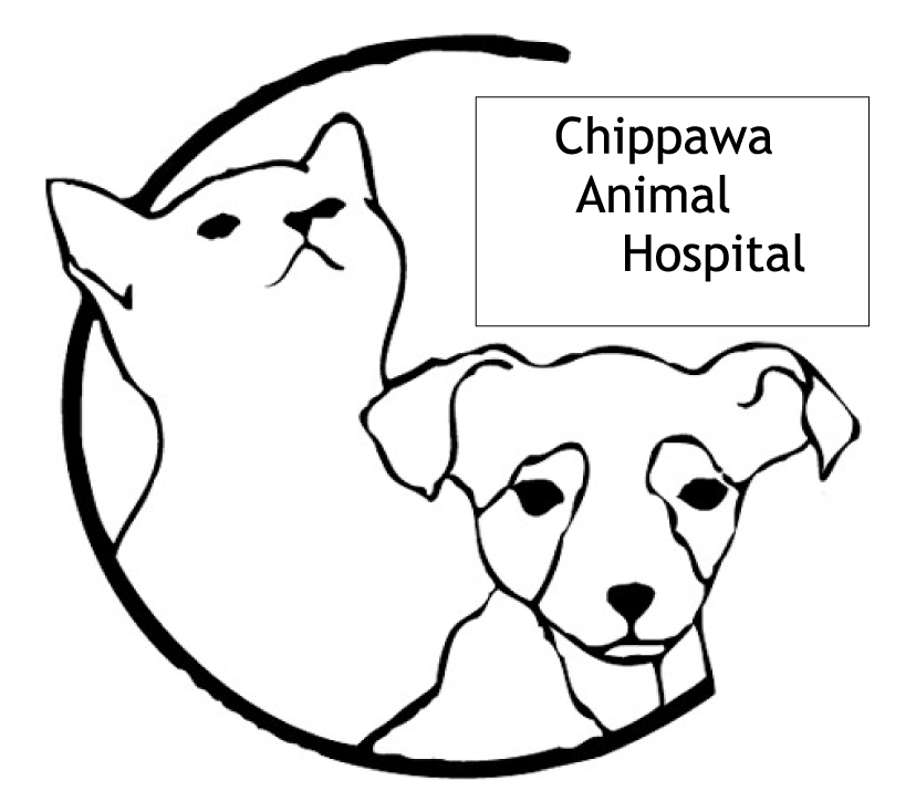 ChippawaAnimalHospitalLogo