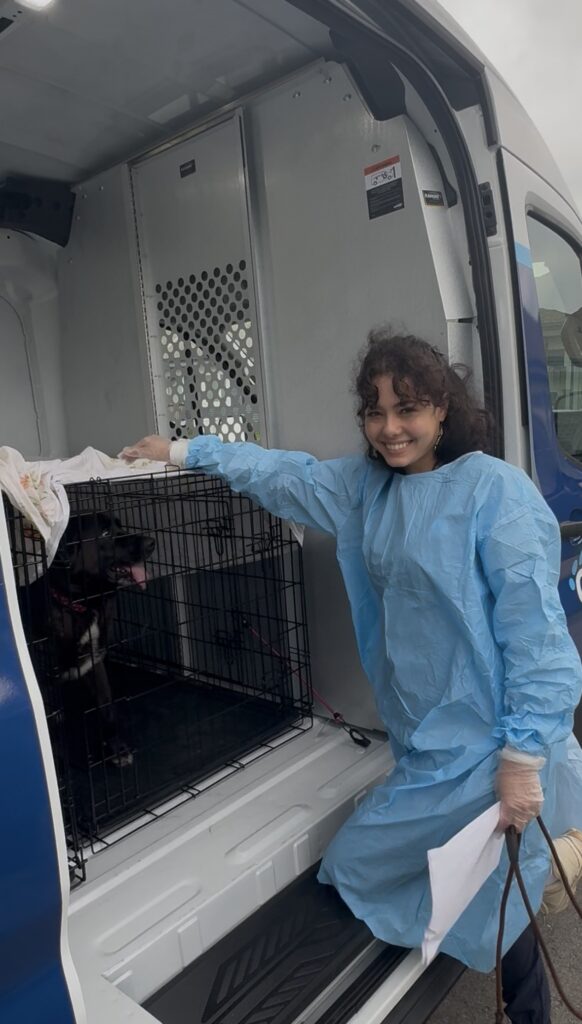 A volunteer wearing protective gear smiles beside a black dog resting inside a transport kennel in an Ontario SPCA rescue van.