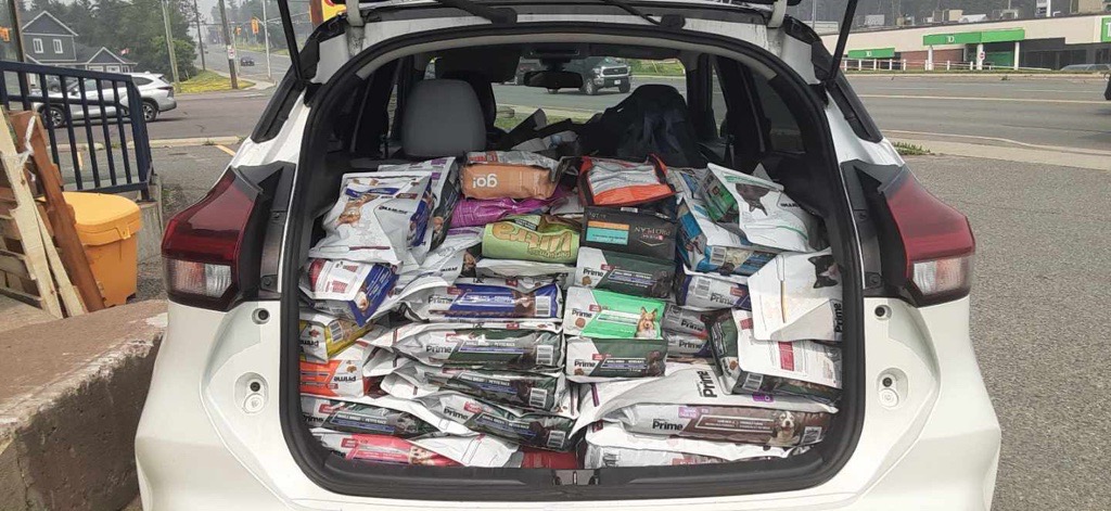 The open trunk of an SUV is filled with bags of pet food and supplies ready for transport to support animal care efforts.