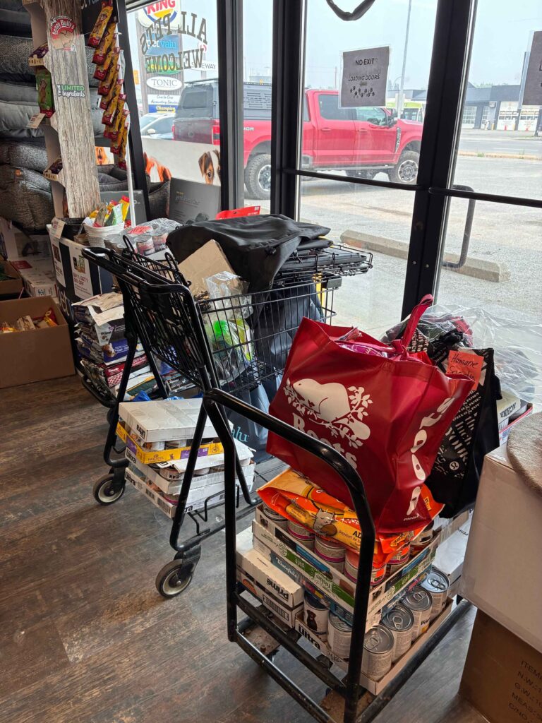 Two carts loaded with pet food, canned food, supplies and donations are parked inside a pet supply store near the entrance.