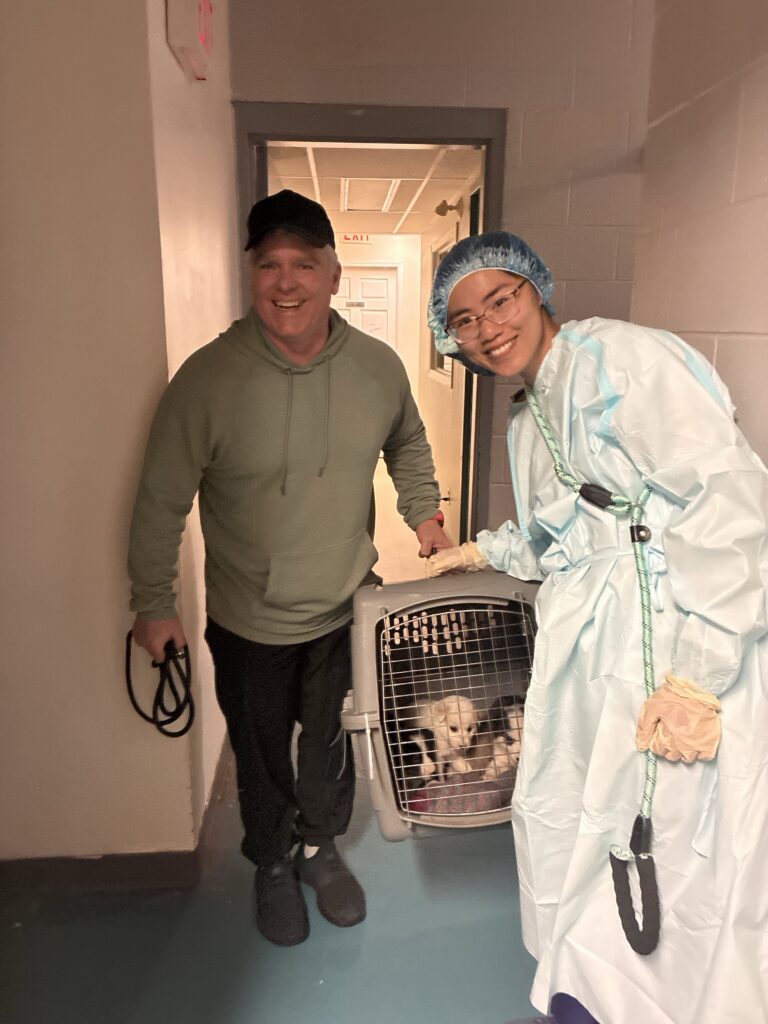 An Ontario SPCA team member in protective gear and a volunteer carry a pet carrier with puppies through a shelter hallway.