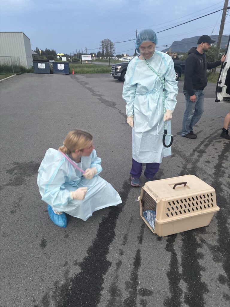 Two Ontario SPCA team members wearing protective gear prepare to unload a pet carrier during an animal transfer operation.