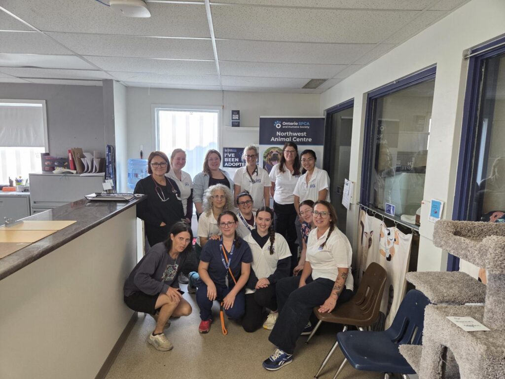 Staff members gather inside the Ontario SPCA Northwest Animal Centre for a group photo.
