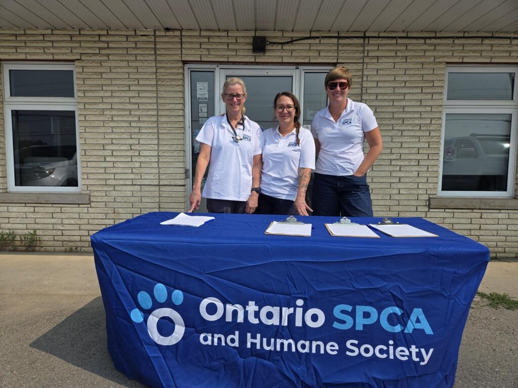 Ontario SPCA staff stand behind an information table outside.