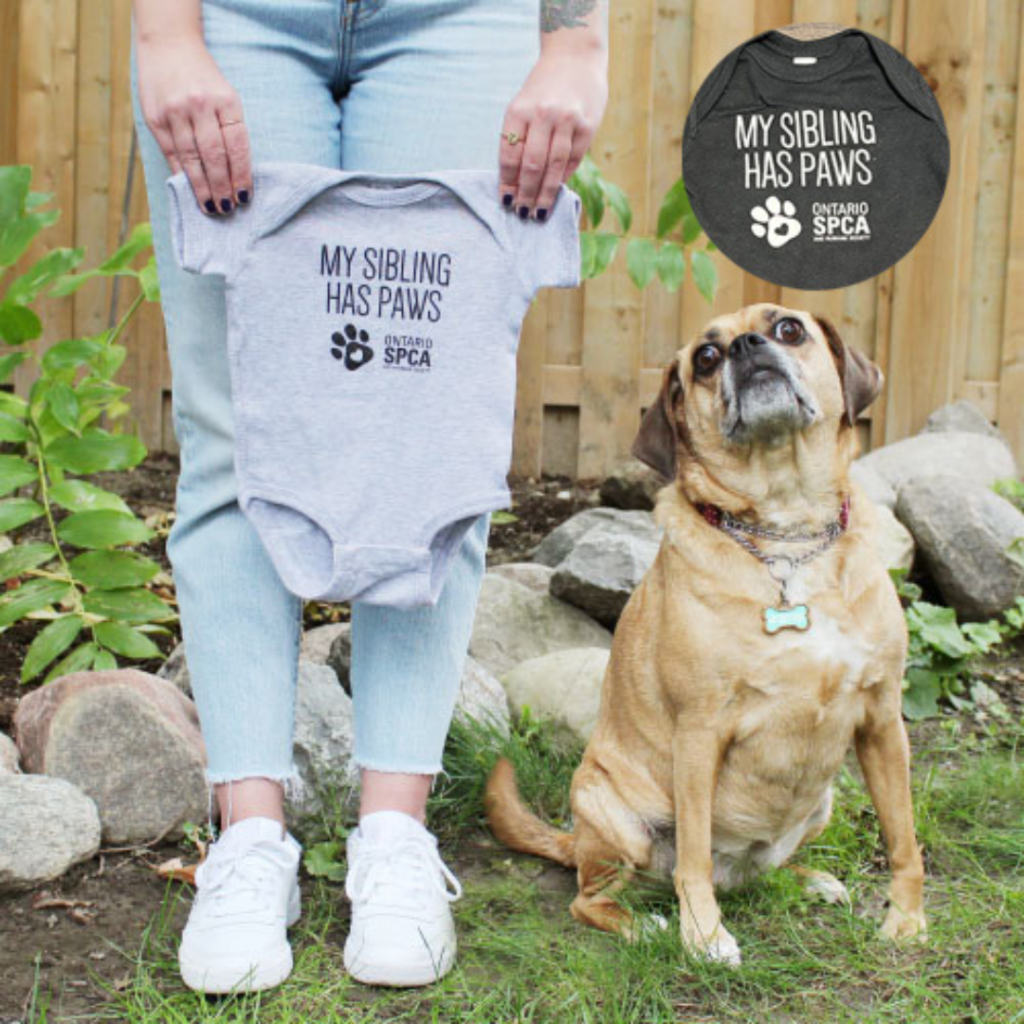 Promotional graphic for the Ontario SPCA summer sale, featuring seasonal items and discounted pet products.