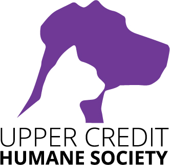 Upper-Credit-Logo