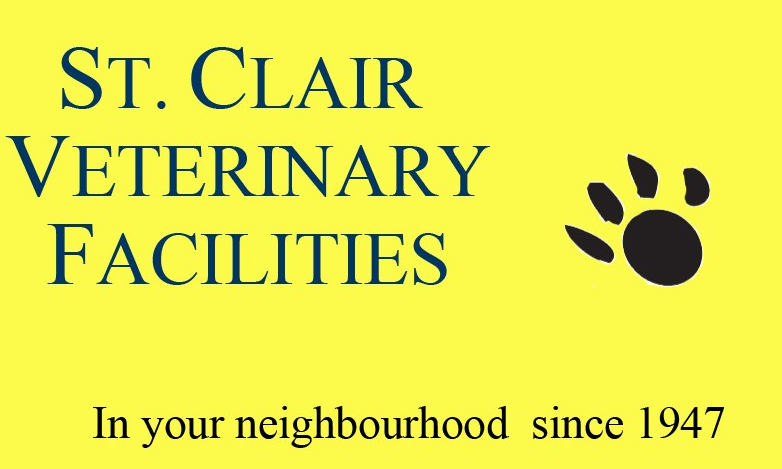 st clair logo