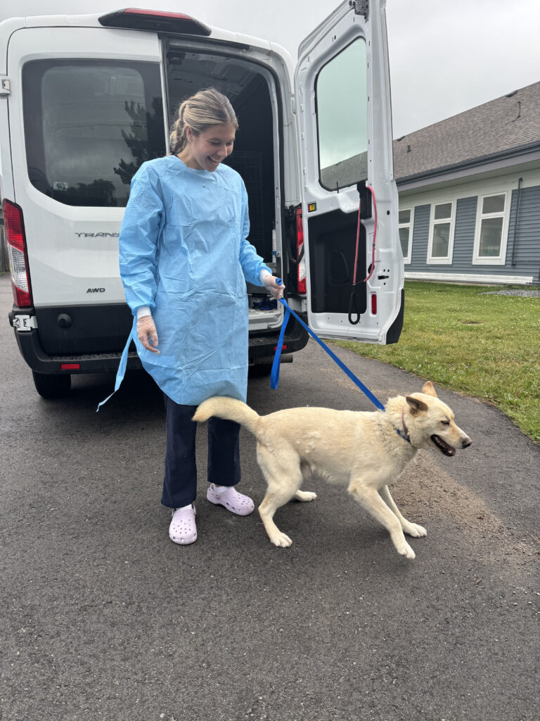 Volunteer in blue gown walking tan-colored dog on leash beside white SPCA outreach van