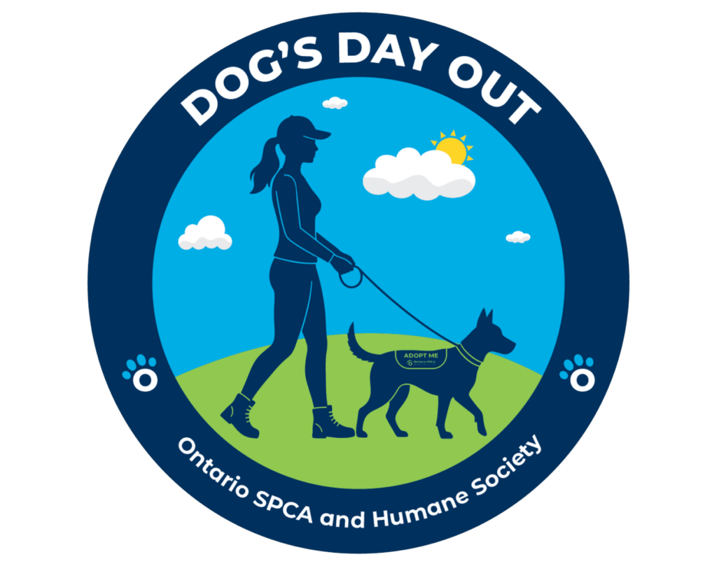 dog's day out logo
