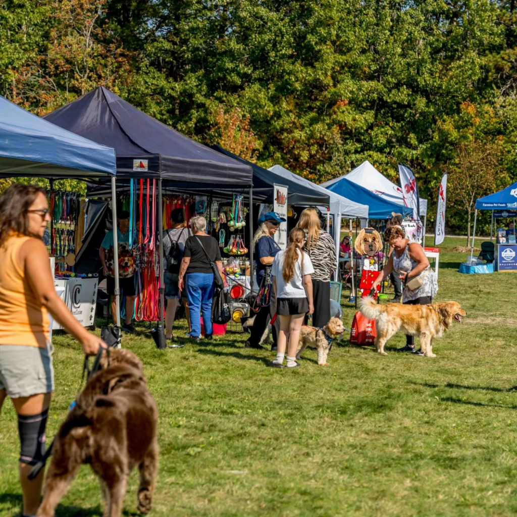 image of people and pets walking though grass, with vendor stalls