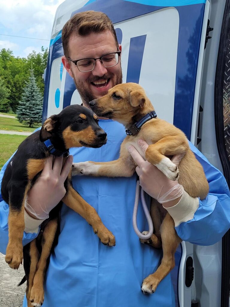 A person in protective gear smiles while holding two puppies as the puppies face one another in front of an animal transport vehicle.