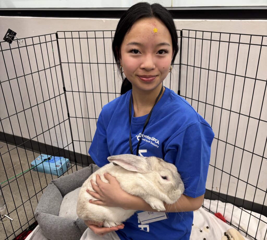 Young woman holding a white rabbit in her arms
