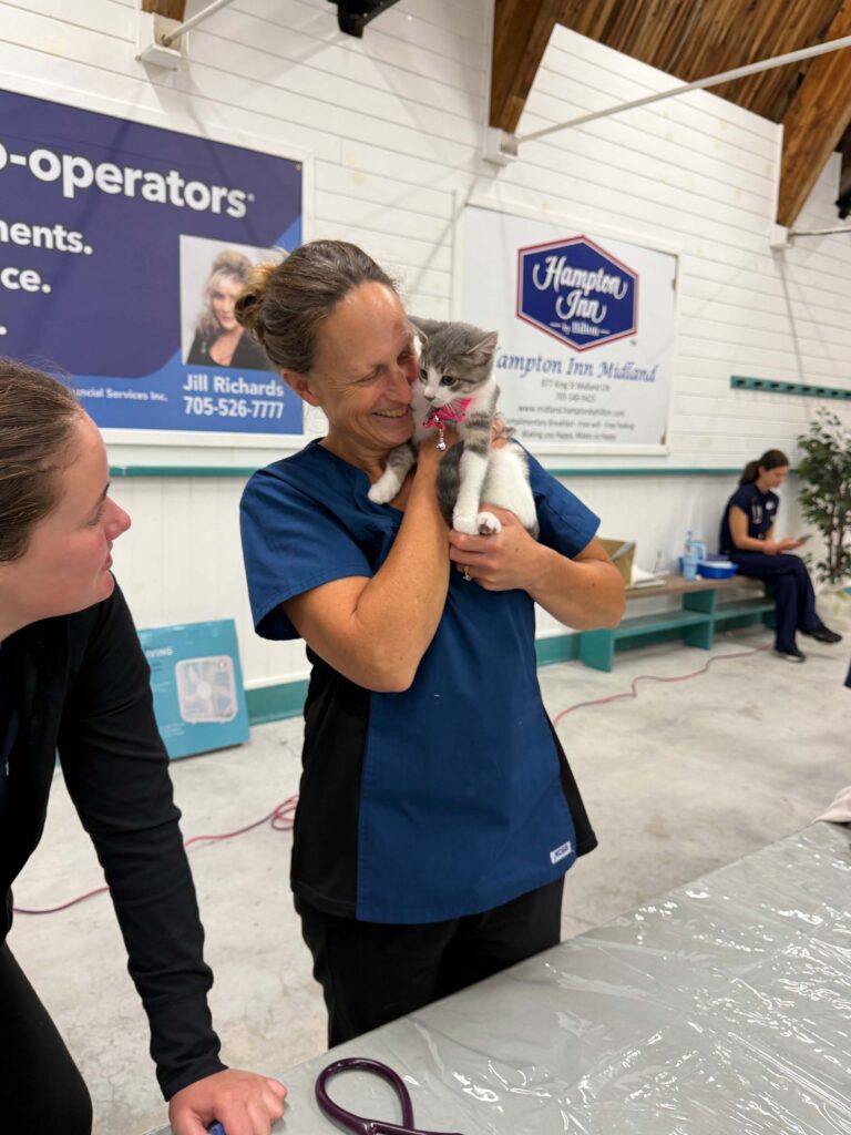 Ontario SPCA staff member holding grey and white kitten with pink collar at community event with sponsor signage visible