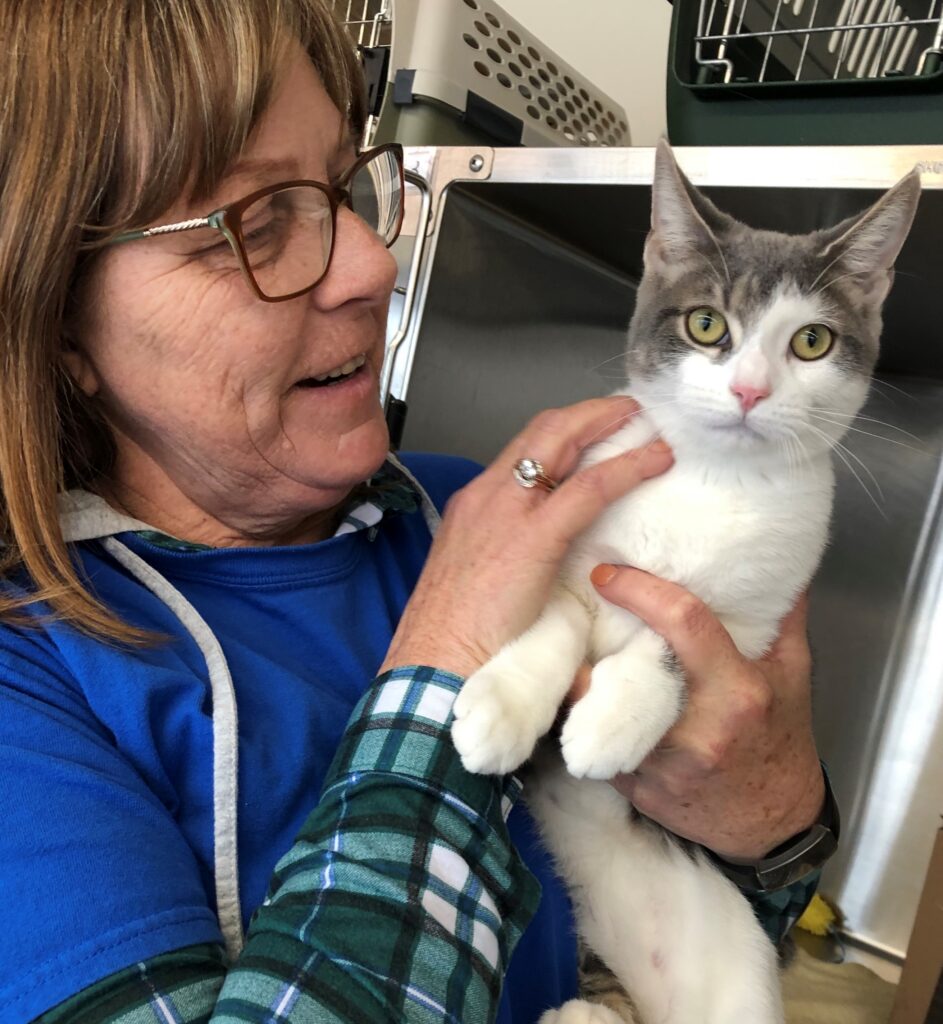 lady holding grey and white cat in her arms