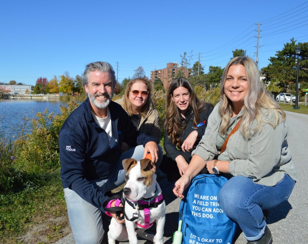 Four people kneel by a pond with a brown and white puppy and a blue backpack that reads You can adopt this dog
