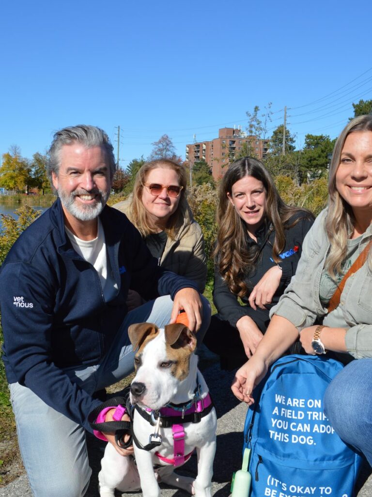 Four people kneel by a pond with a brown and white puppy and a blue backpack that reads You can adopt this dog