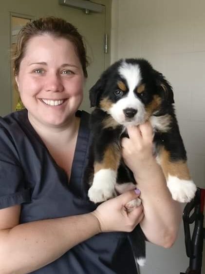 A smiling woman in grey scrubs holds up a fluffy black, white and tan puppy.