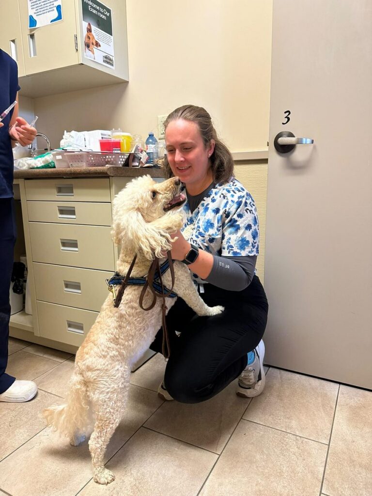 A curly cream-coloured dog stands on its hind legs to greet a smiling woman in floral scrubs in an exam room.